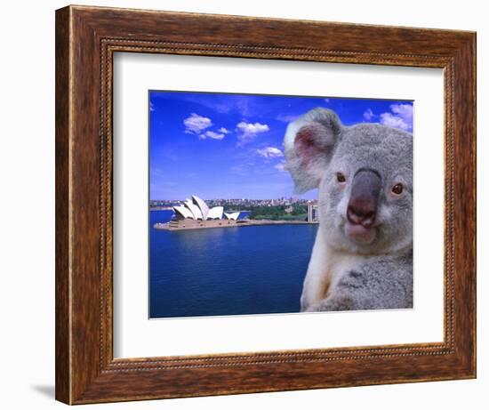 Portrayal of Opera House and Koala, Sydney, Australia-Bill Bachmann-Framed Photographic Print