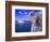 Portrayal of Opera House and Koala, Sydney, Australia-Bill Bachmann-Framed Photographic Print