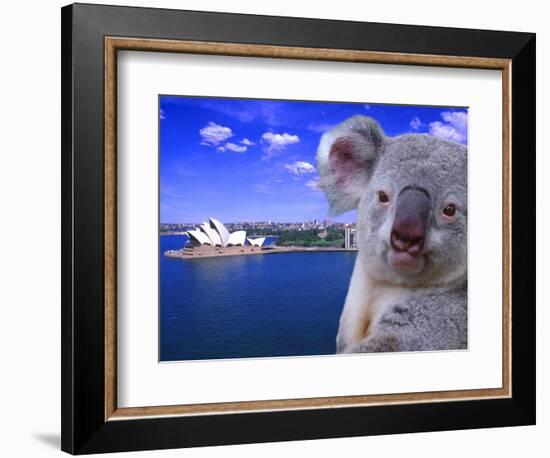 Portrayal of Opera House and Koala, Sydney, Australia-Bill Bachmann-Framed Photographic Print