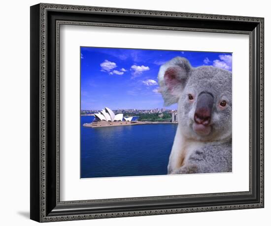 Portrayal of Opera House and Koala, Sydney, Australia-Bill Bachmann-Framed Photographic Print