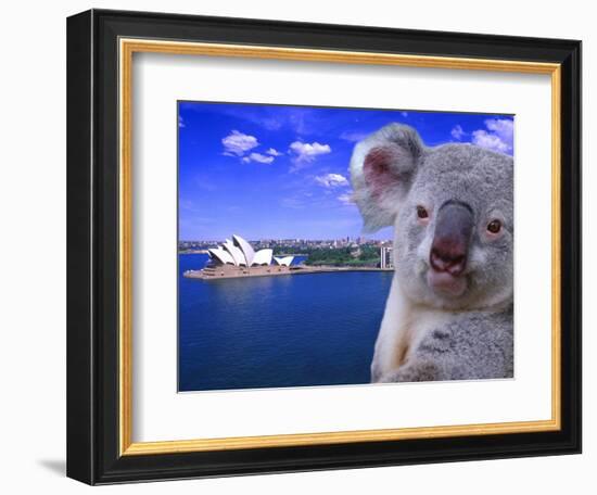 Portrayal of Opera House and Koala, Sydney, Australia-Bill Bachmann-Framed Photographic Print