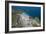 Portreath, Cornwall, England, United Kingdom, Europe-Dan Burton-Framed Photographic Print