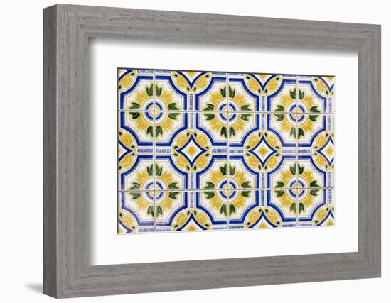 Portugal. Aveiro. Blue and Yellow Tile Work in the Historic District-Emily Wilson-Framed Premium Photographic Print