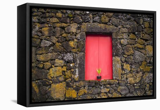 Portugal, Azores, Pico Island, Madalena. Red doors on barn-Walter Bibikow-Framed Premier Image Canvas