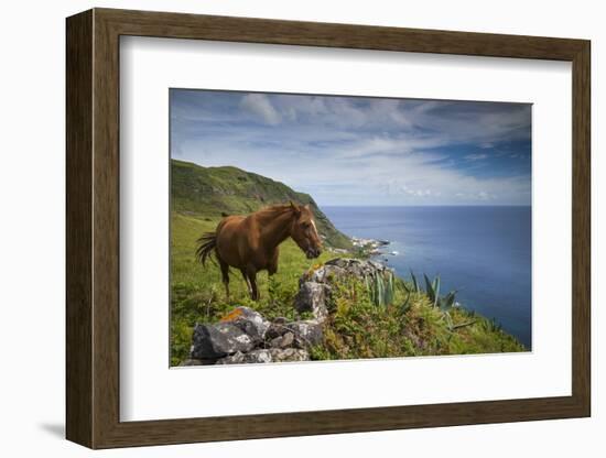 Portugal, Azores, Santa Maria Island, Maia. Horse in coastal pasture-Walter Bibikow-Framed Photographic Print