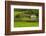 Portugal, Azores, Santa Maria Island, Pico Vermelho. Old farmhouse-Walter Bibikow-Framed Photographic Print