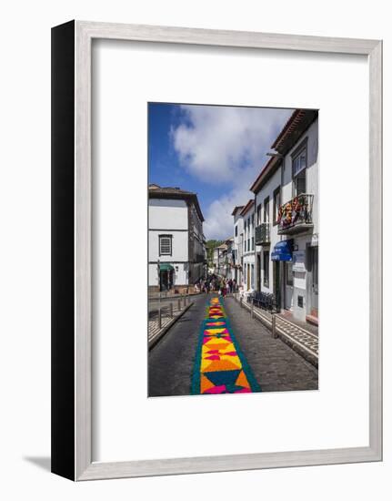 Portugal, Azores, Sao Miguel Island, Ponta Delgada. Festa Santo Christo dos Milagres festival-Walter Bibikow-Framed Photographic Print