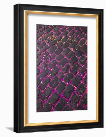 Portugal, Azores, Sao Miguel Island, Ponta Delgada. Festa Santo Christo dos Milagres festival-Walter Bibikow-Framed Photographic Print