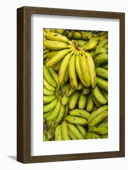 Portugal, Azores, Sao Miguel Island, Ponta Delgada. Mercado da Graca market, native bananas-Walter Bibikow-Framed Photographic Print