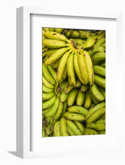 Portugal, Azores, Sao Miguel Island, Ponta Delgada. Mercado da Graca market, native bananas-Walter Bibikow-Framed Photographic Print
