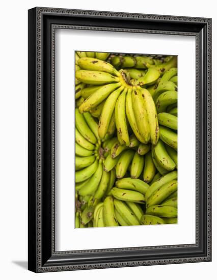 Portugal, Azores, Sao Miguel Island, Ponta Delgada. Mercado da Graca market, native bananas-Walter Bibikow-Framed Photographic Print