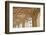 Portugal, Belem. Granada Monasterio De San Jeronimo-Emily Wilson-Framed Photographic Print