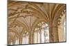 Portugal, Belem. Granada Monasterio De San Jeronimo-Emily Wilson-Mounted Photographic Print