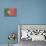 Portugal Country Flag - Barnwood Painting-Lantern Press-Art Print displayed on a wall