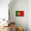 Portugal Country Flag - Letterpress-Lantern Press-Art Print displayed on a wall