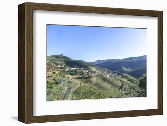 Portugal, Douro River Valley, Terraced Vineyards-Jim Engelbrecht-Framed Photographic Print