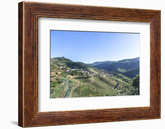 Portugal, Douro River Valley, Terraced Vineyards-Jim Engelbrecht-Framed Photographic Print