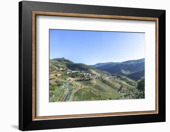 Portugal, Douro River Valley, Terraced Vineyards-Jim Engelbrecht-Framed Photographic Print