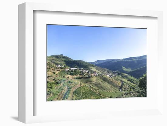 Portugal, Douro River Valley, Terraced Vineyards-Jim Engelbrecht-Framed Photographic Print
