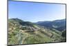 Portugal, Douro River Valley, Terraced Vineyards-Jim Engelbrecht-Mounted Photographic Print