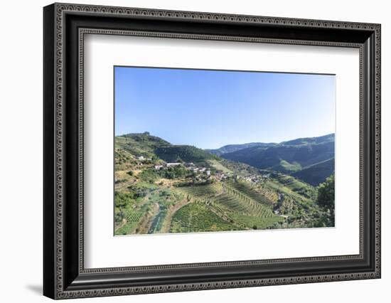 Portugal, Douro River Valley, Terraced Vineyards-Jim Engelbrecht-Framed Photographic Print