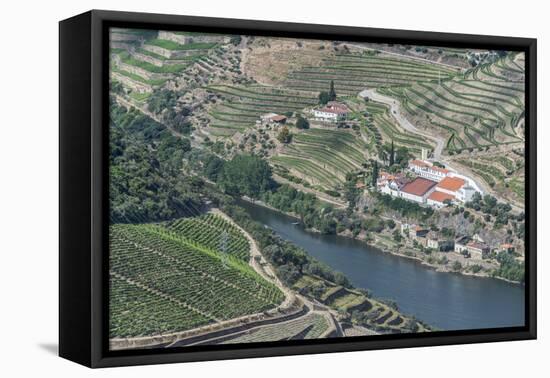Portugal, Douro Valley, Douro River and Hillside Vineyard-Rob Tilley-Framed Premier Image Canvas