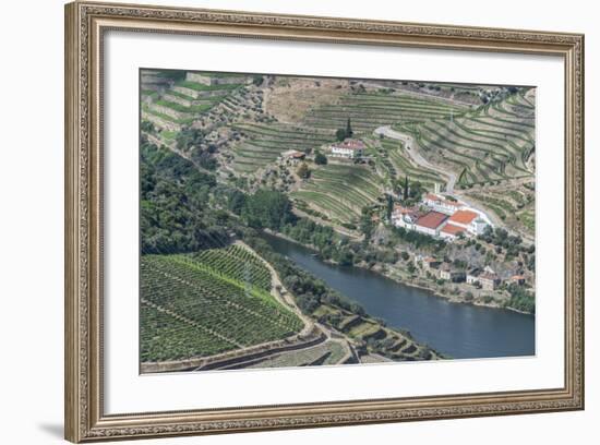 Portugal, Douro Valley, Douro River and Hillside Vineyard-Rob Tilley-Framed Photographic Print