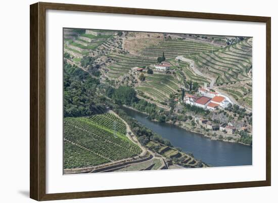 Portugal, Douro Valley, Douro River and Hillside Vineyard-Rob Tilley-Framed Photographic Print
