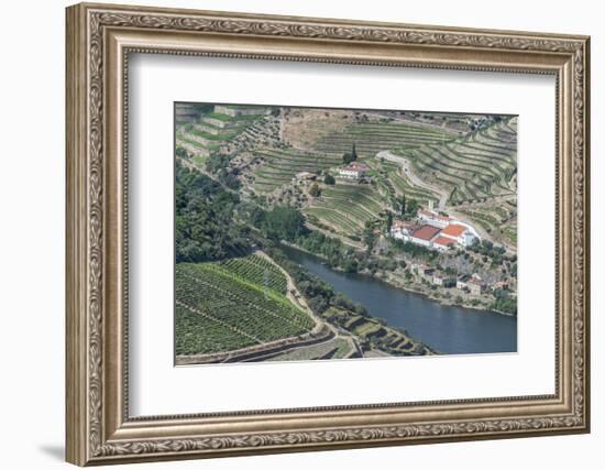 Portugal, Douro Valley, Douro River and Hillside Vineyard-Rob Tilley-Framed Photographic Print