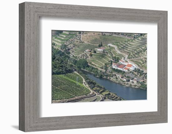 Portugal, Douro Valley, Douro River and Hillside Vineyard-Rob Tilley-Framed Photographic Print