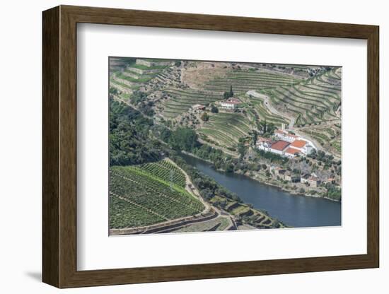 Portugal, Douro Valley, Douro River and Hillside Vineyard-Rob Tilley-Framed Photographic Print