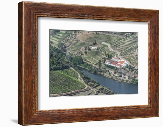 Portugal, Douro Valley, Douro River and Hillside Vineyard-Rob Tilley-Framed Photographic Print