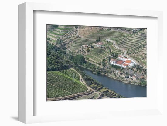 Portugal, Douro Valley, Douro River and Hillside Vineyard-Rob Tilley-Framed Photographic Print