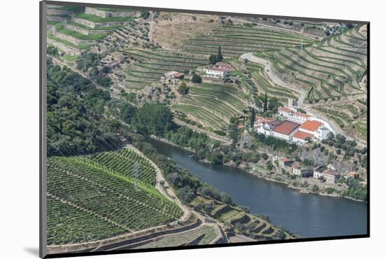 Portugal, Douro Valley, Douro River and Hillside Vineyard-Rob Tilley-Mounted Photographic Print