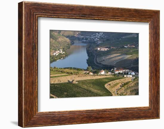 Portugal, Douro Valley, Douro River, Porto. Valley Lined with Steeply Sloping Hills, Vineyards-Emily Wilson-Framed Photographic Print