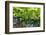 Portugal, Douro Valley, Grapes at a Vineyard-Emily Wilson-Framed Photographic Print