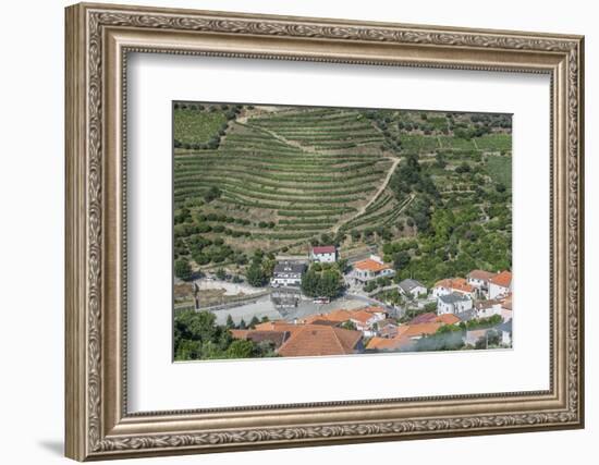 Portugal, Douro Valley, Hillside Vineyard-Rob Tilley-Framed Photographic Print
