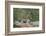 Portugal, Douro Valley, Hillside Vineyard-Rob Tilley-Framed Photographic Print