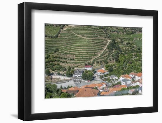 Portugal, Douro Valley, Hillside Vineyard-Rob Tilley-Framed Photographic Print