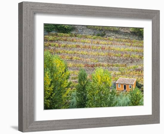 Portugal, Douro Valley. Small orange dwelling in the vineyards of the Douro Valley in autumn.-Julie Eggers-Framed Photographic Print