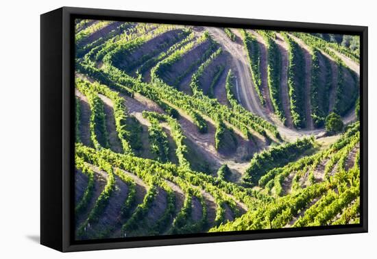 Portugal, Douro Valley, Terraced Vineyards Lining the Hills-Terry Eggers-Framed Premier Image Canvas