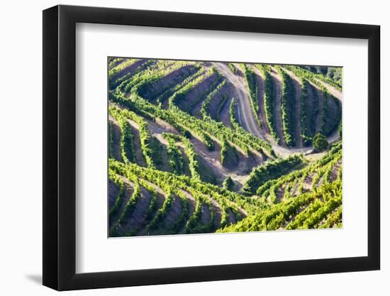 Portugal, Douro Valley, Terraced Vineyards Lining the Hills-Terry Eggers-Framed Photographic Print