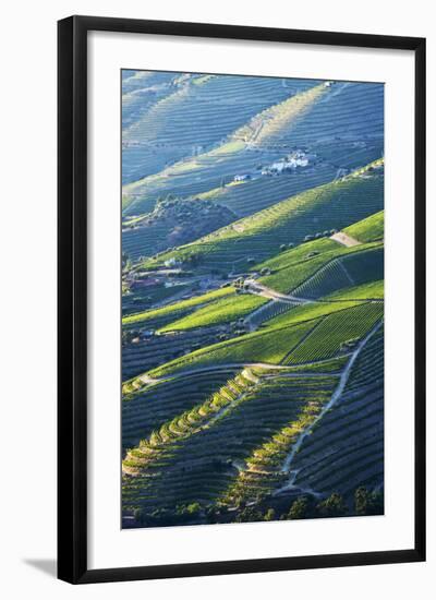 Portugal, Douro Valley, Terraced Vineyards Lining the Hills-Terry Eggers-Framed Photographic Print