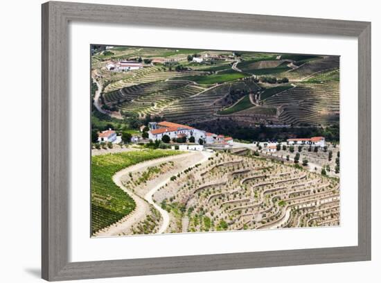 Portugal, Douro Valley, Terraced Vineyards Lining the Hills-Terry Eggers-Framed Photographic Print