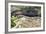 Portugal, Douro Valley, Terraced Vineyards Lining the Hills-Terry Eggers-Framed Photographic Print