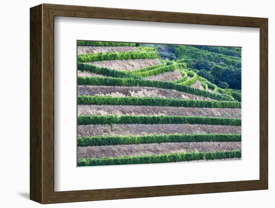 Portugal, Douro Valley, Terraced Vineyards Lining the Hills-Terry Eggers-Framed Photographic Print