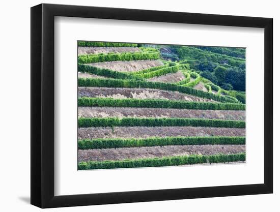 Portugal, Douro Valley, Terraced Vineyards Lining the Hills-Terry Eggers-Framed Photographic Print