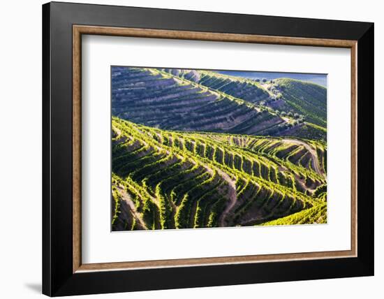 Portugal, Douro Valley, Terraced Vineyards Lining the Hills-Terry Eggers-Framed Photographic Print