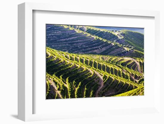 Portugal, Douro Valley, Terraced Vineyards Lining the Hills-Terry Eggers-Framed Photographic Print