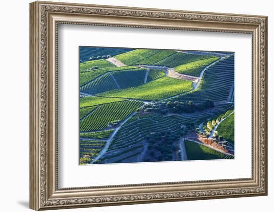 Portugal, Douro Valley, Terraced Vineyards Lining the Hills-Terry Eggers-Framed Photographic Print